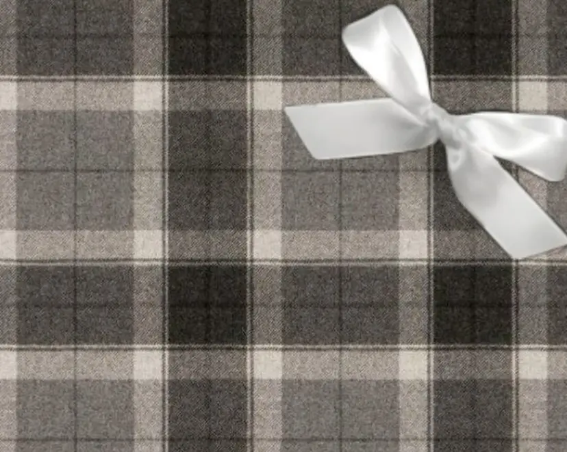 REAL Moca🪽の掲載