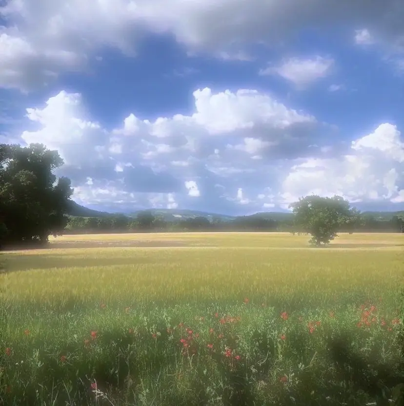 ボブ/レイヤー MINX伊藤なず菜の掲載