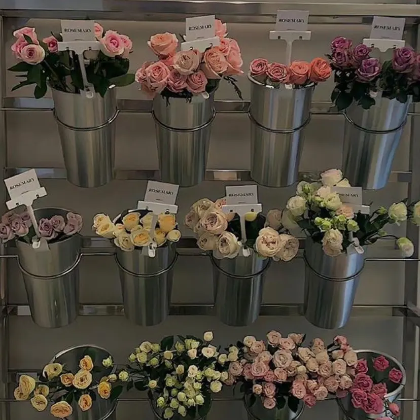 𝐌𝐚𝐧𝐚 🌙の掲載