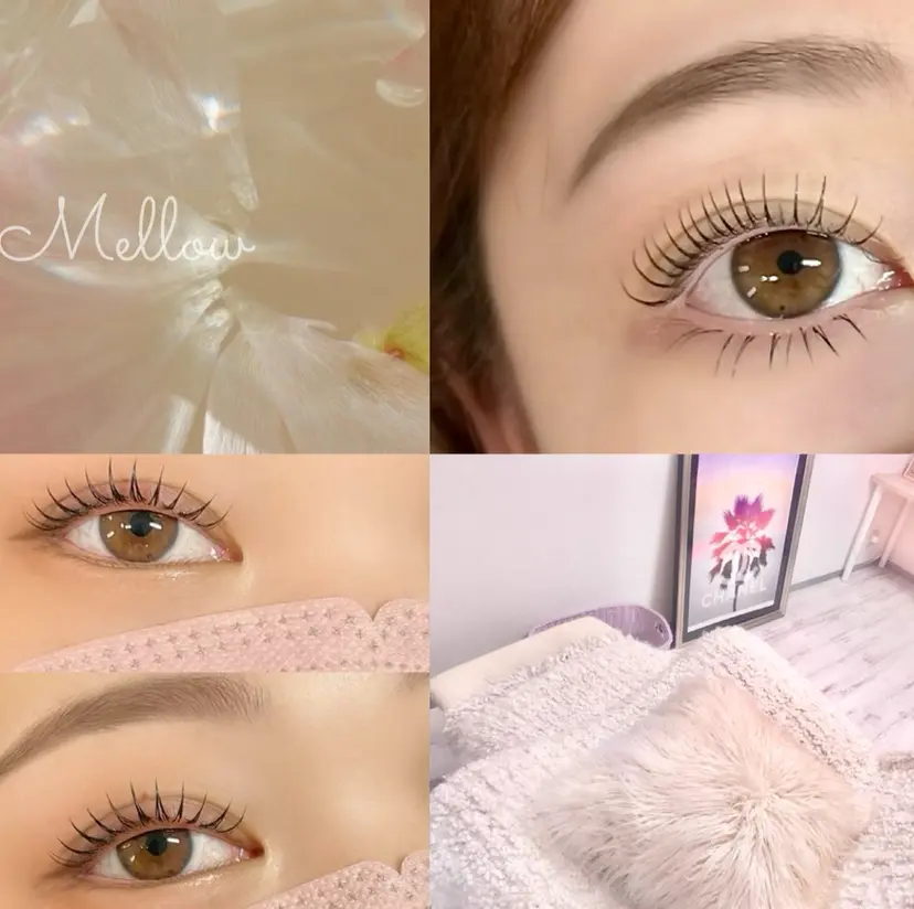 ワンホン＆パリジェン アンドヘルシー＆下の掲載