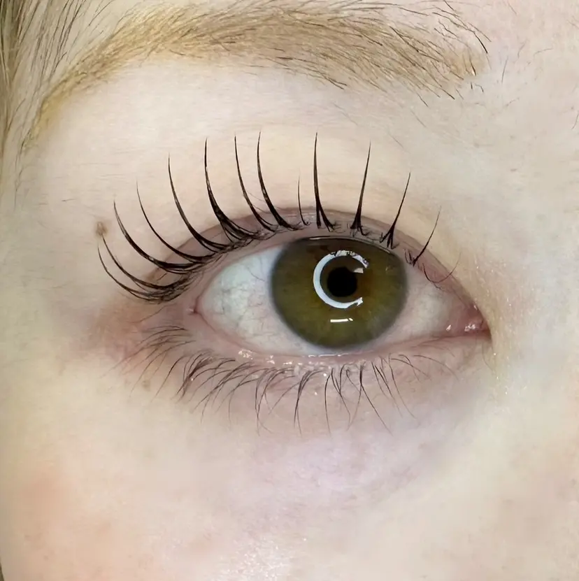 ハナツカ ユカリの掲載