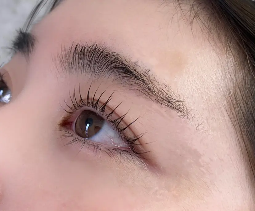 髙木 かの子の掲載