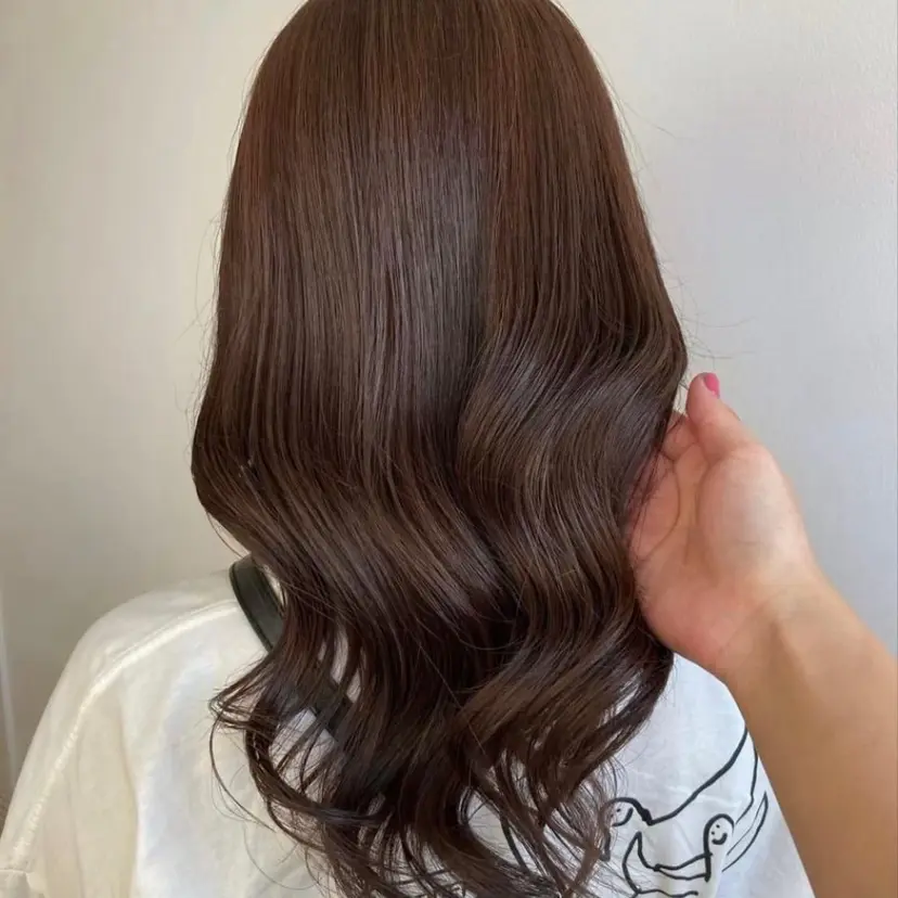 LuLu maoの掲載