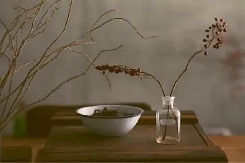植田 瑠菜の掲載