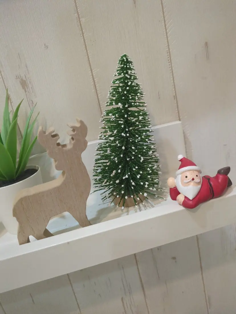 maru beautyの掲載