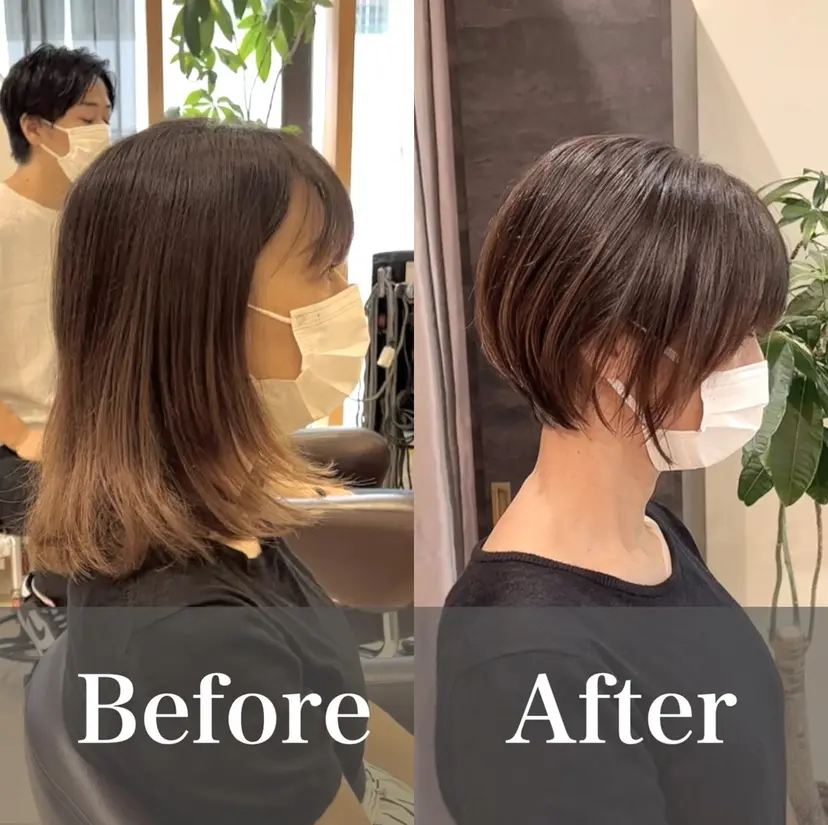 中村 紺汰の掲載