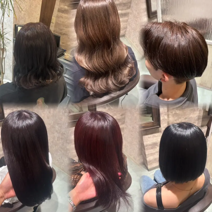 東田 さくらの掲載