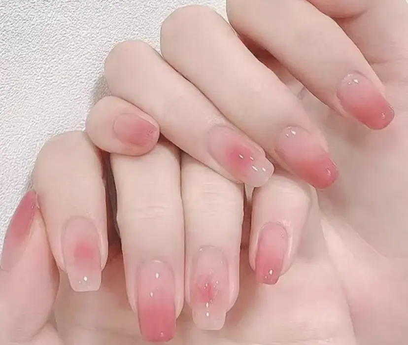 リオ ーalraの掲載