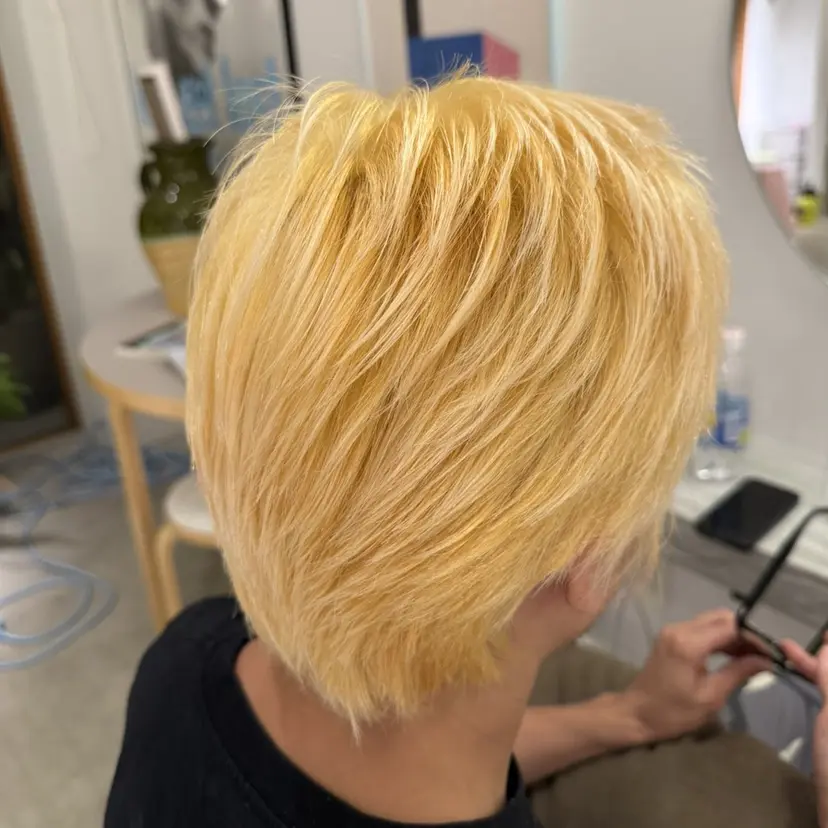 山口 ゆいの掲載