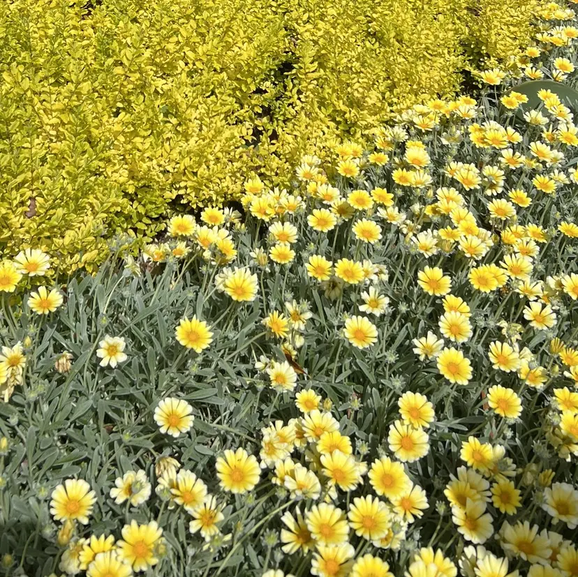 TRU 🧸まりの🧸の掲載