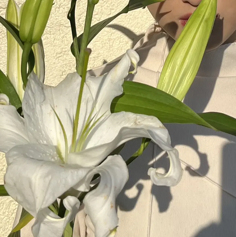 narumi .･*. NE/LOの掲載