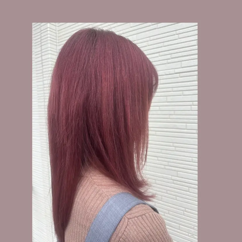 酒向 里恵の掲載