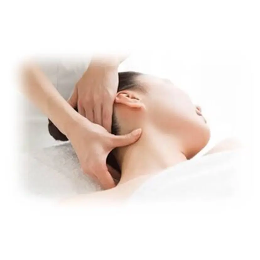 守田 優希の掲載