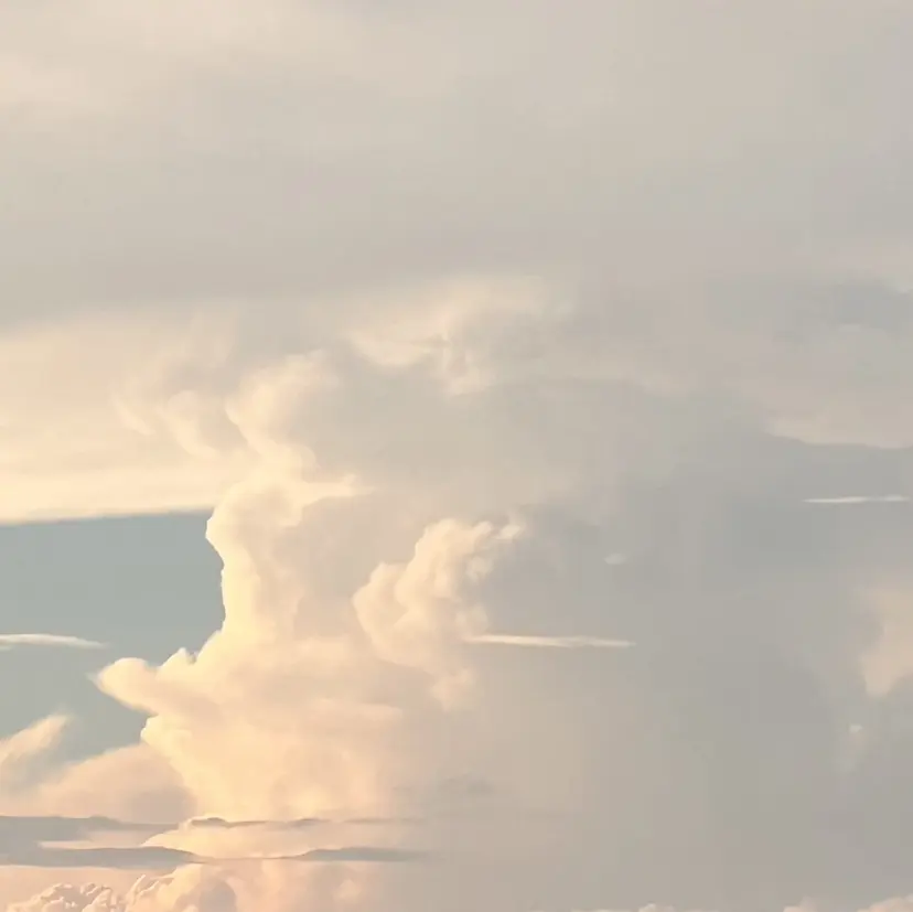 🐯⭐︎ miyuの掲載