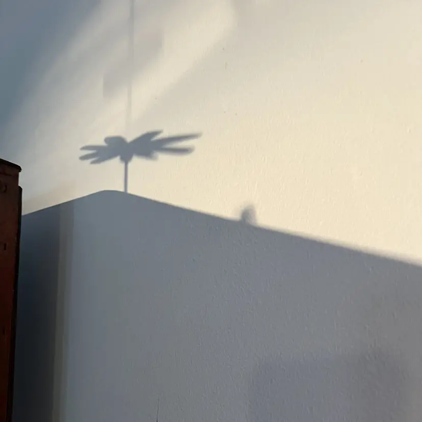 川又 美沙紀の掲載