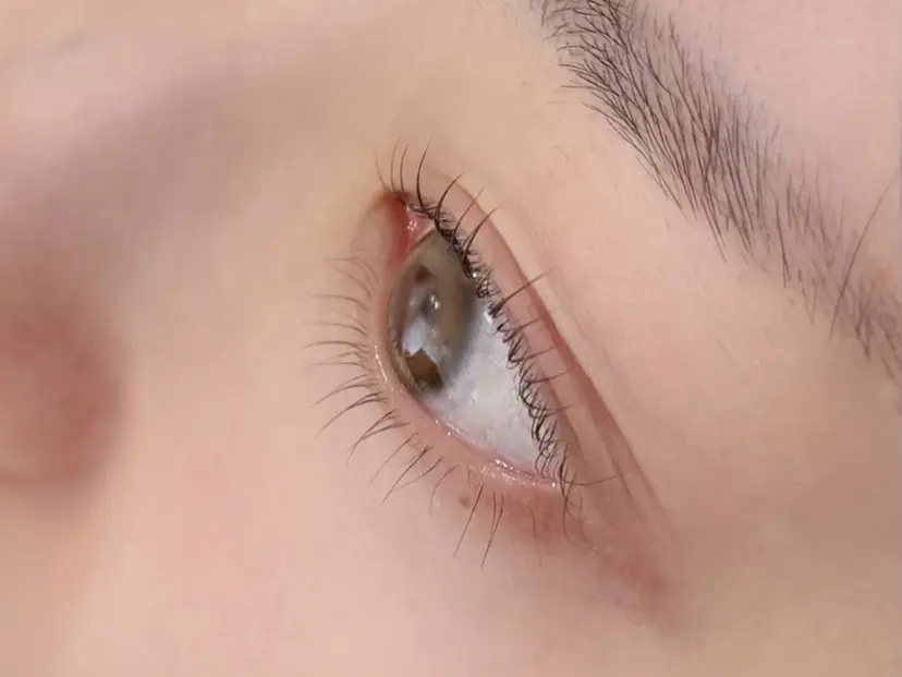 8月限定募集 YOKOの掲載