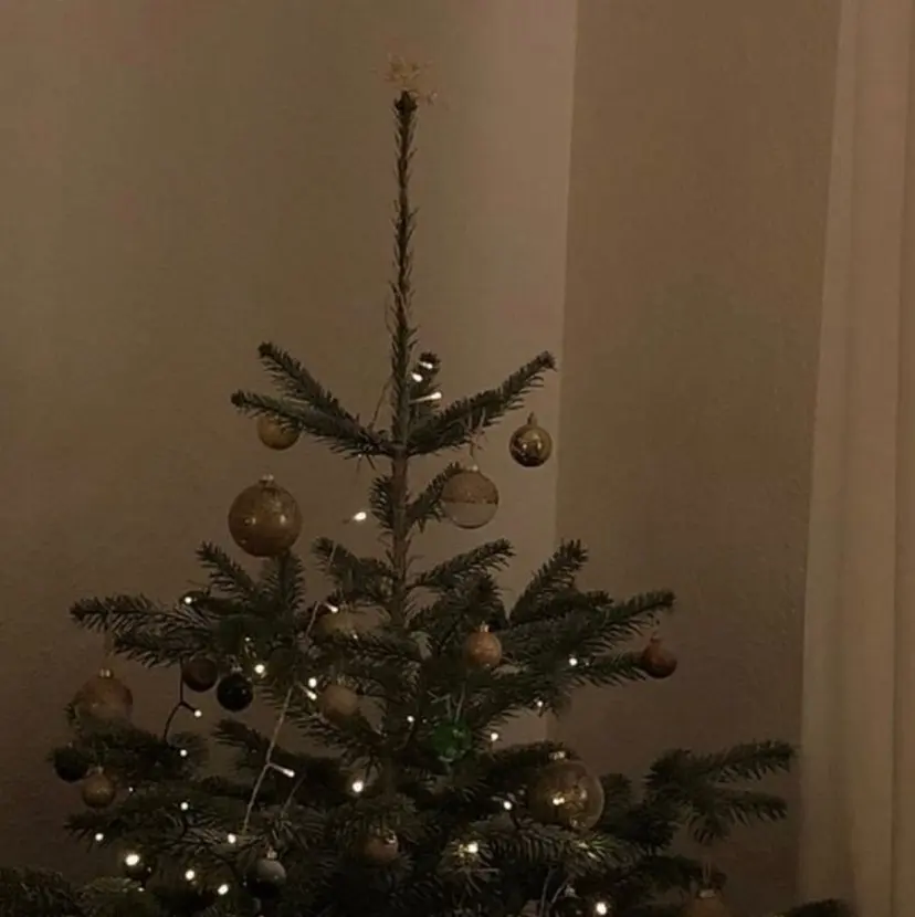 Riru eyelashの掲載