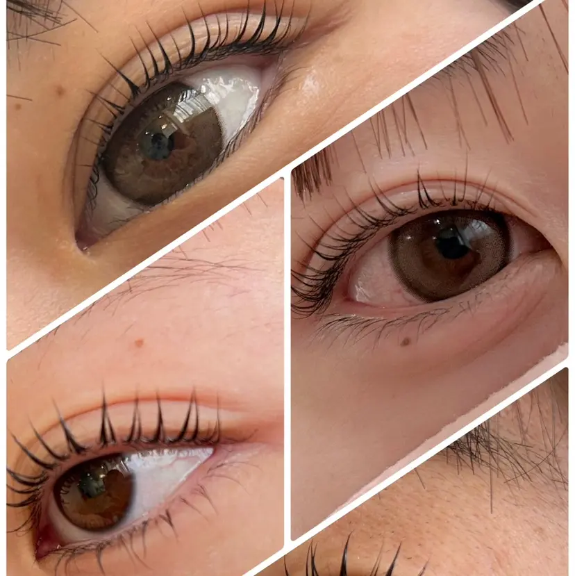 JolieReine meguの掲載