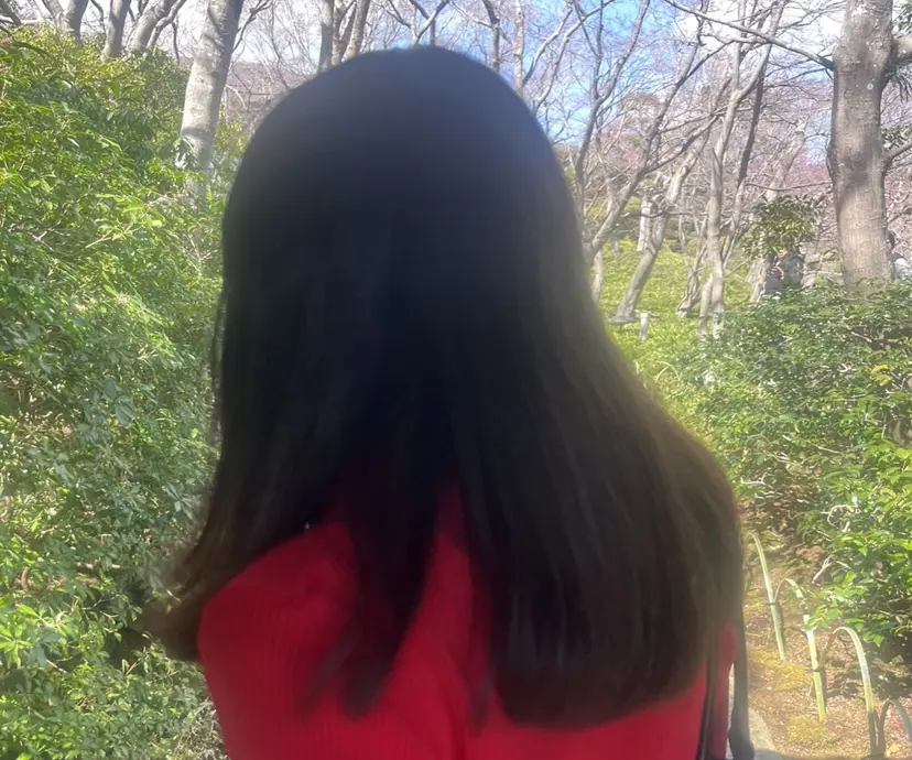 雨雲 春の掲載