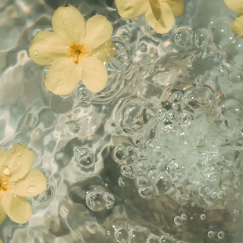 丹羽 美夏の掲載