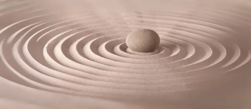 GARDEN. ドライヘッド真菰蒸しの掲載