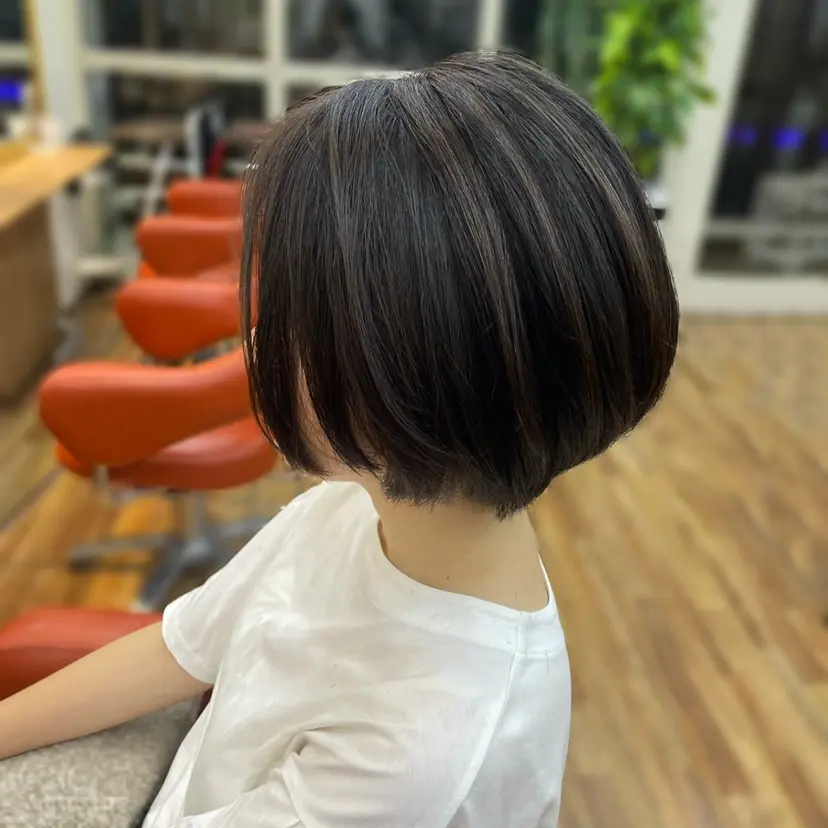タヂカ マイの掲載