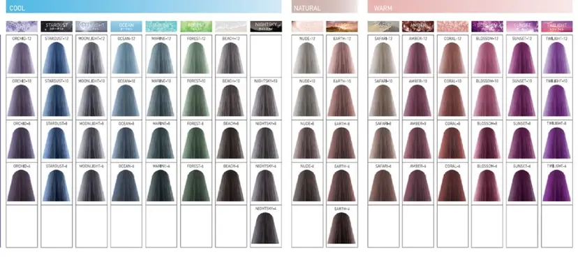 suimmie ikukoの掲載