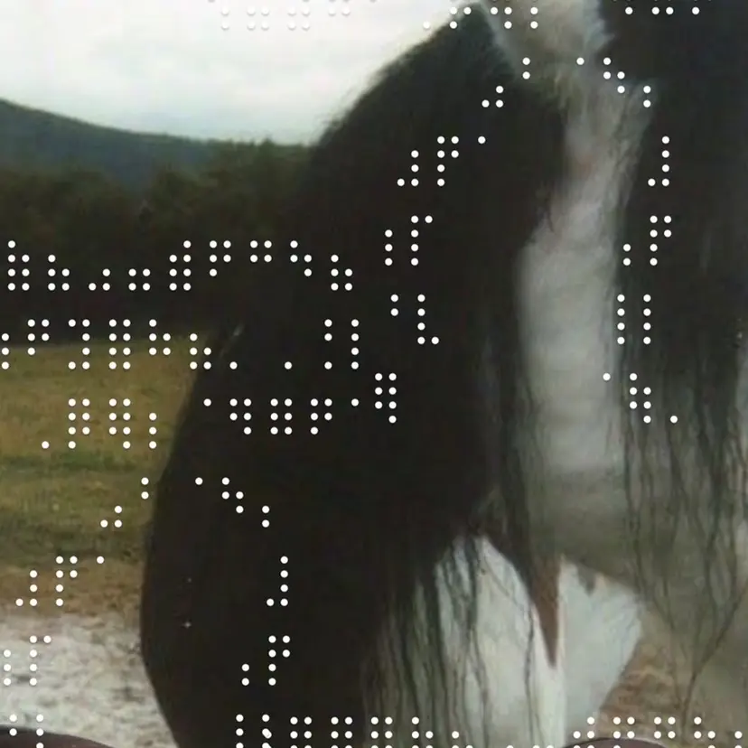 WOLTOKYO ウエハラ カエデの掲載