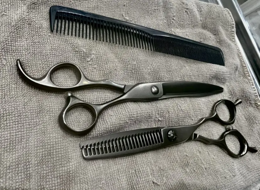 川田 真実の掲載