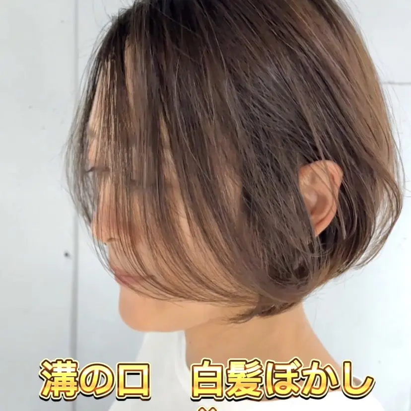 伊藤 慎吾の掲載