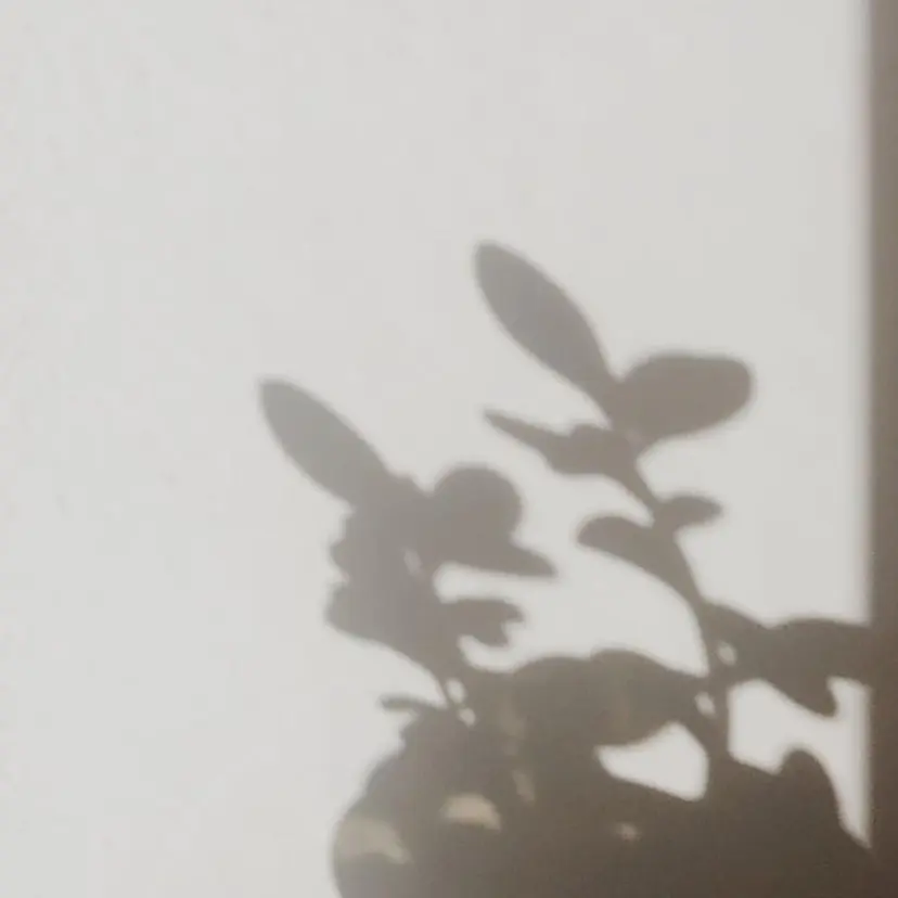 横浜/ショート オイカワ レイの掲載