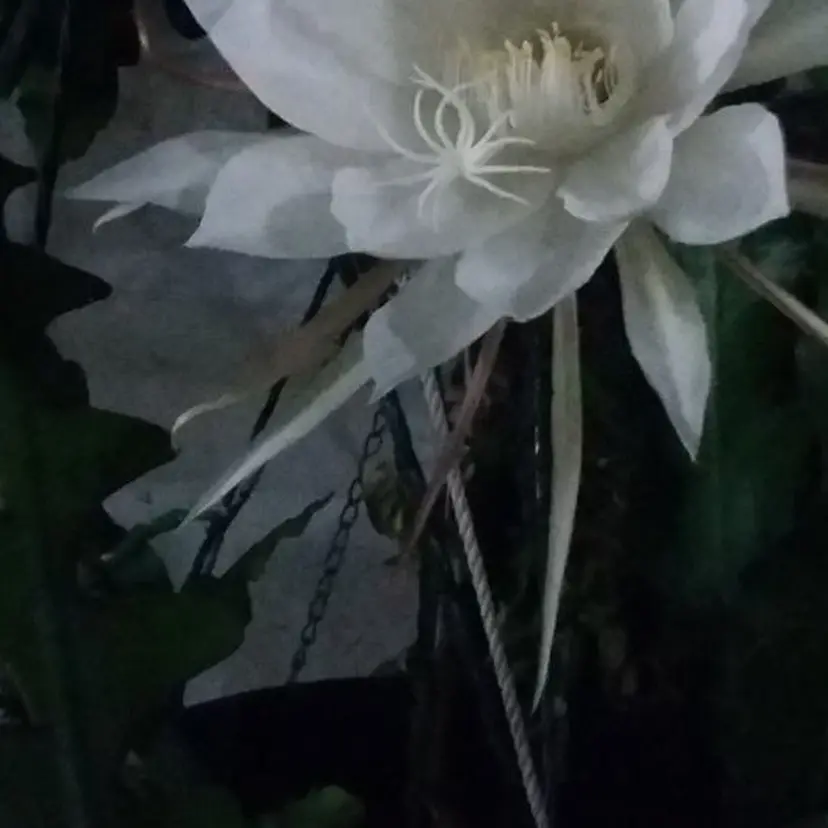 🩶カラーモデル🩶 misakiの掲載