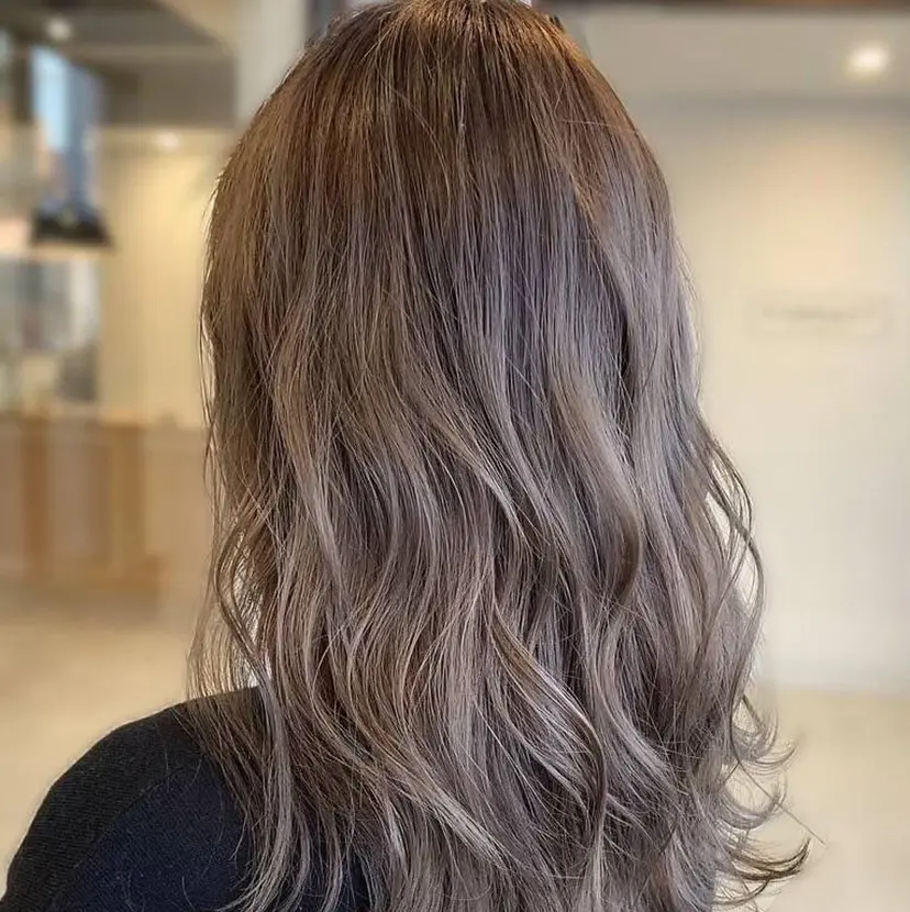 淺井 さくらの掲載