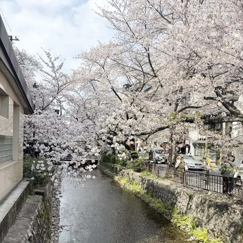 アイブロウ韓国風🦋 chihiro🦋の掲載