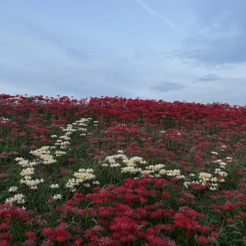 篠田 翔太の掲載