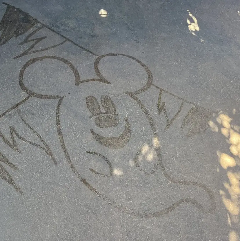 .. RINの掲載