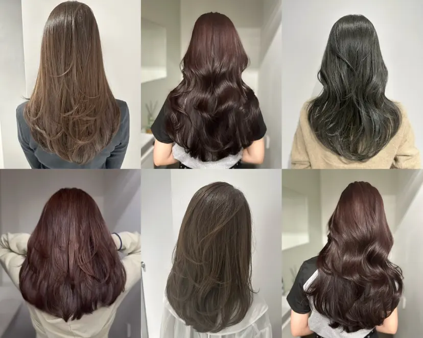 レイヤーカット/銀座 TAROの掲載