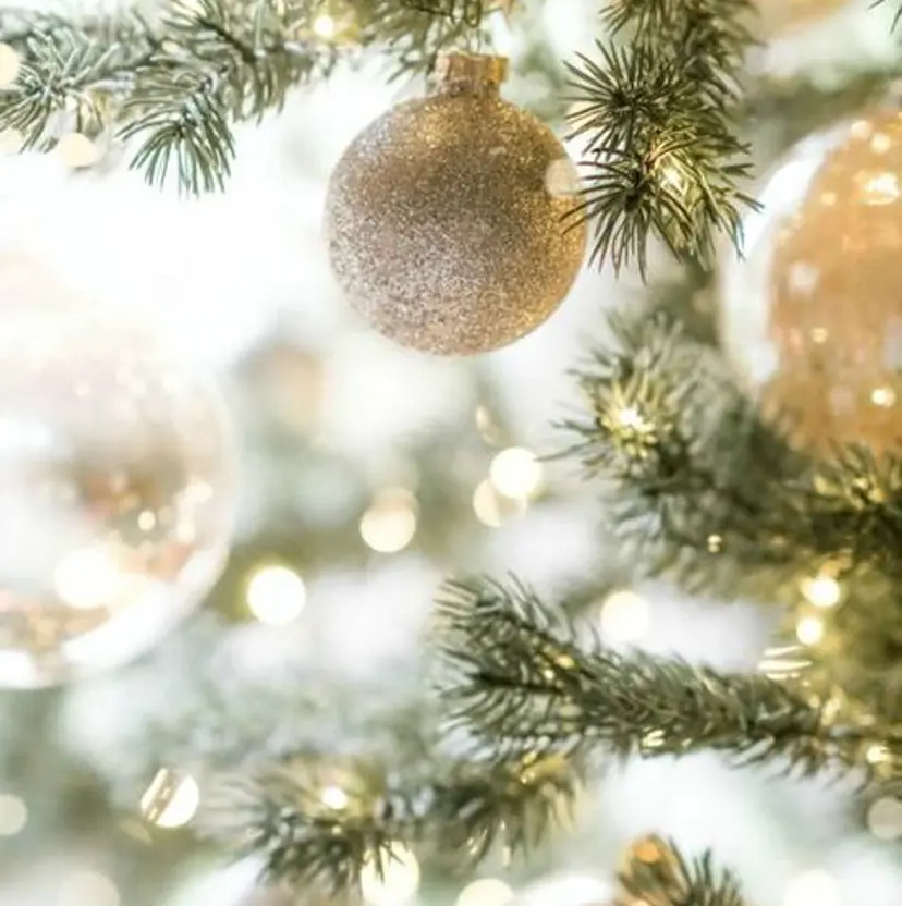 つじ みさきの掲載