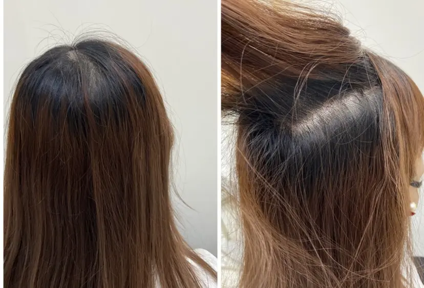 高木 汐梨の掲載