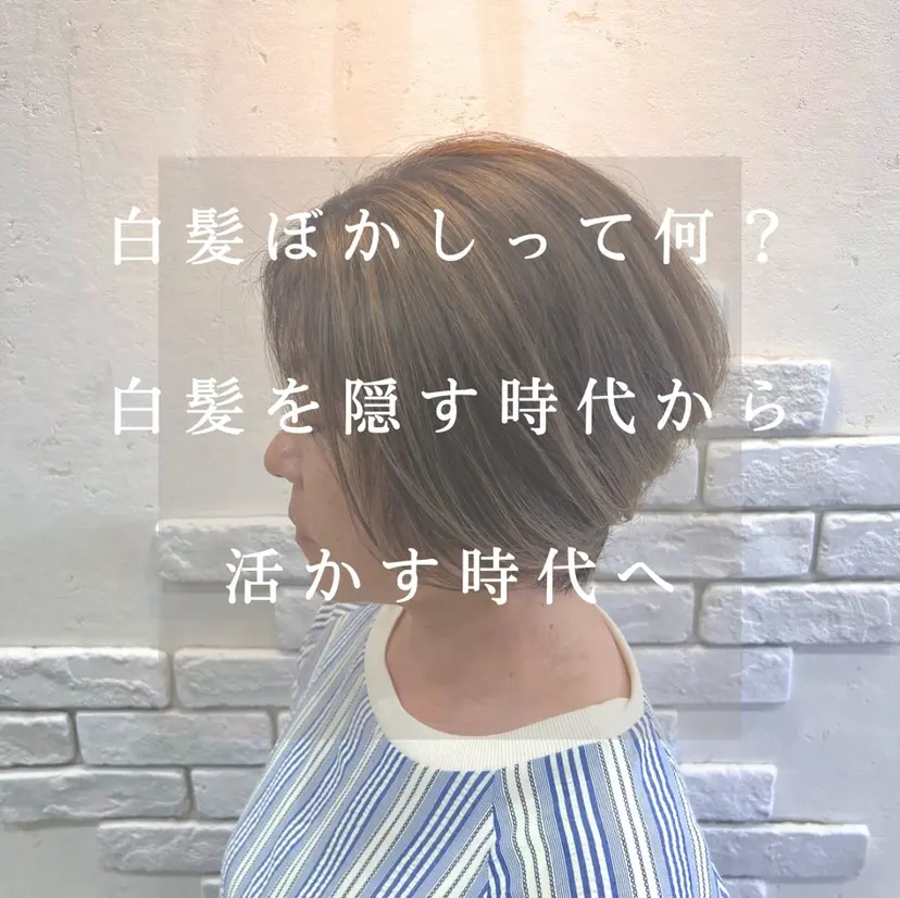 太白区白髪ぼかし/ ボブカット/千葉達人の掲載