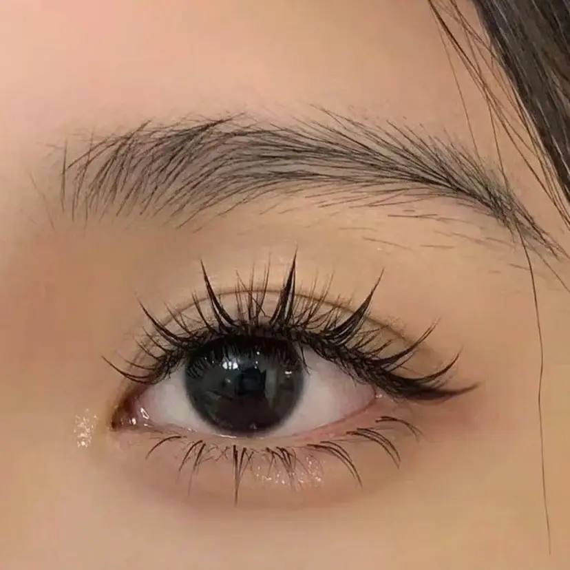 み みの掲載