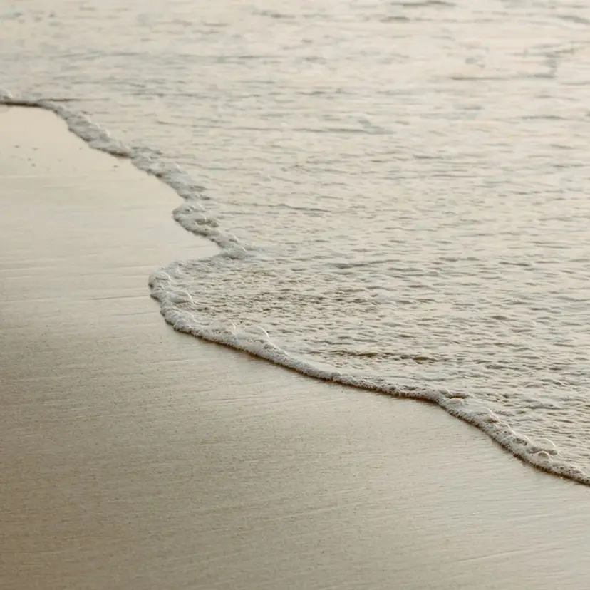 eyelash salon elu+の掲載