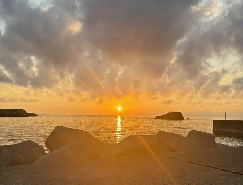 濱崎 桃音の掲載