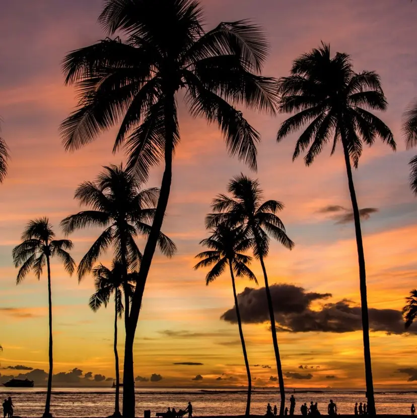 上西 花奏の掲載