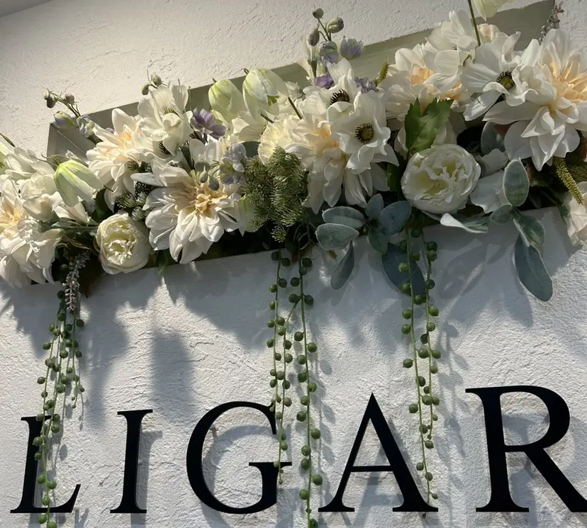 LIGAR Rinaの掲載