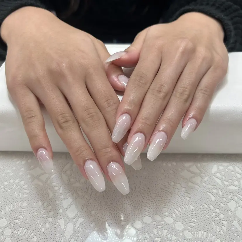 キノ コの掲載