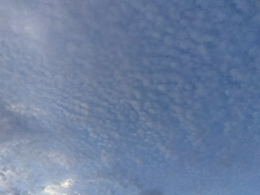 Beautist Mioの掲載