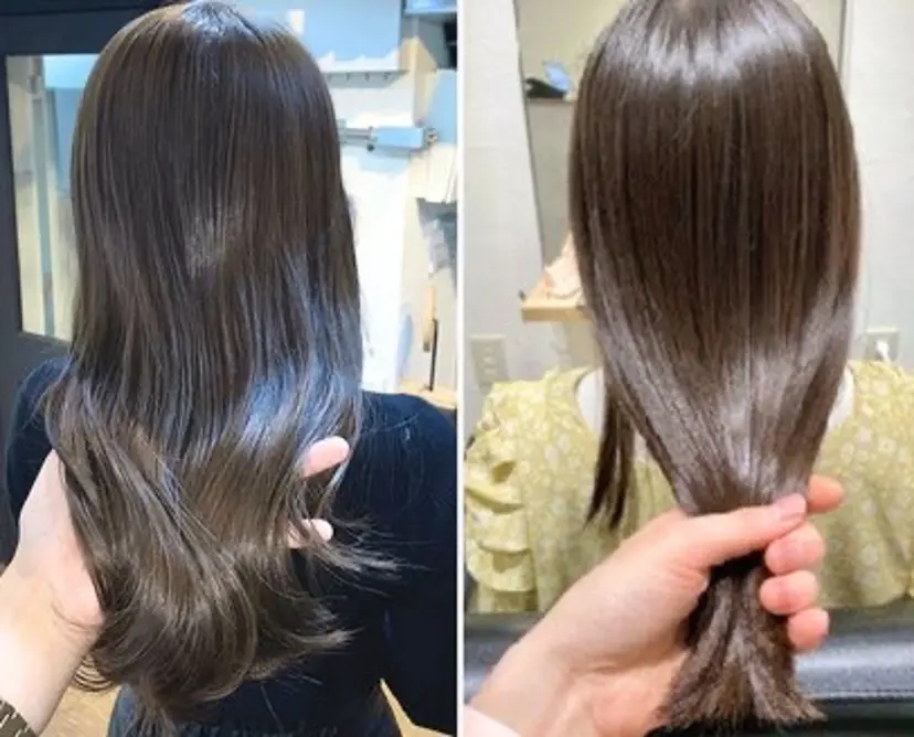 エクシア ニシキタの掲載