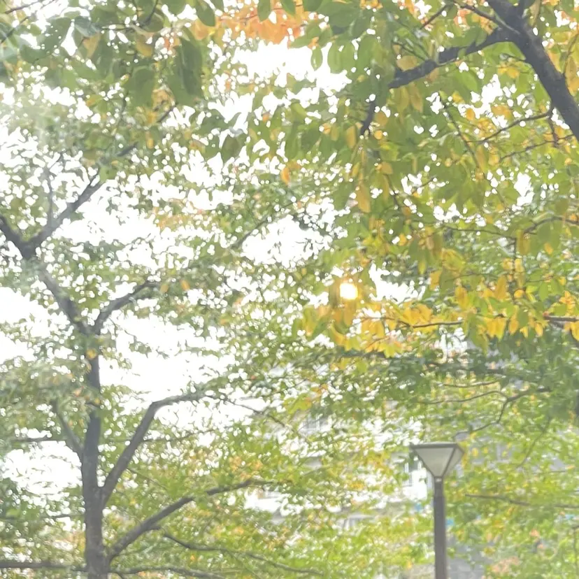 🫧カットモデル 募集中🫧AKI🍁の掲載