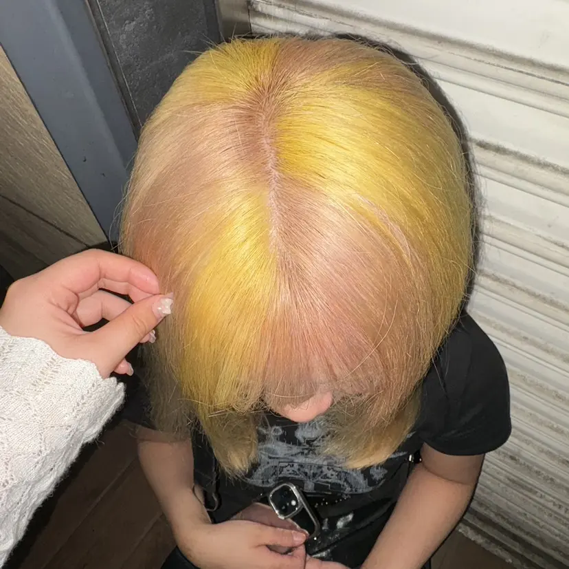 いとう なぎの掲載
